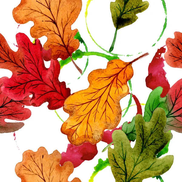 손에서 오크 패턴의가 잎 그린 수채화 스타일. — 스톡 사진