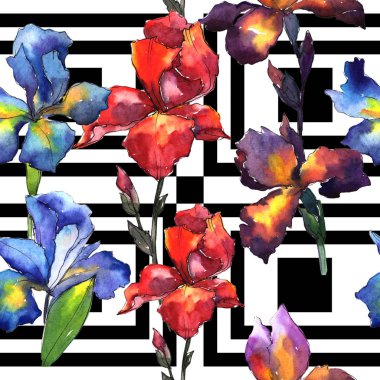 Kır çiçeği Iris çiçek deseni suluboya tarzında.