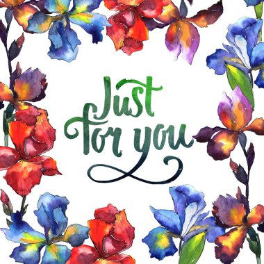 Kır çiçeği Iris çiçek çerçeve suluboya tarzında.