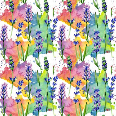 Kır çiçeği lavanta çiçek deseni suluboya tarzında.