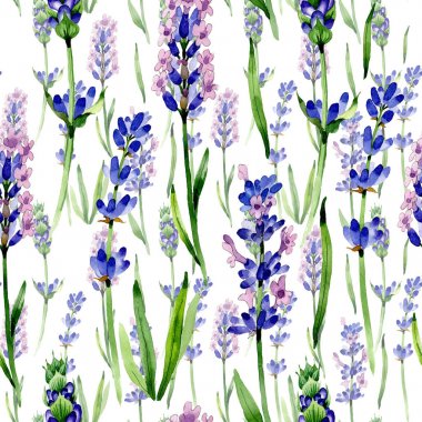 Kır çiçeği lavanta çiçek deseni suluboya tarzında.