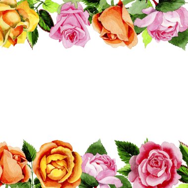 Kır çiçeği gül çiçek deseni suluboya tarzında.