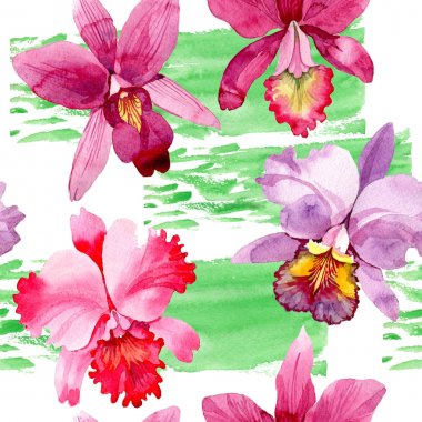 Kır çiçeği pembe orkide çiçek deseni suluboya tarzında.