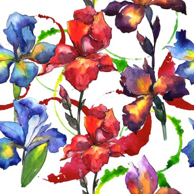 Kır çiçeği Iris çiçek deseni suluboya tarzında.