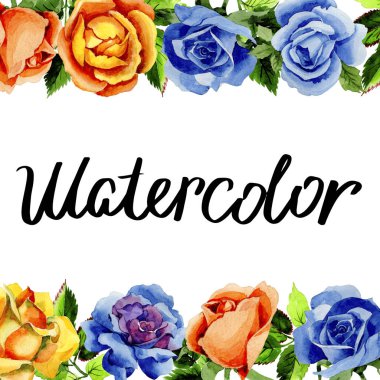 Kır çiçeği gül çiçek deseni suluboya tarzında.