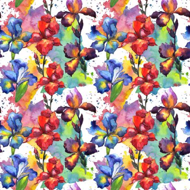 Kır çiçeği Iris çiçek deseni suluboya tarzında.