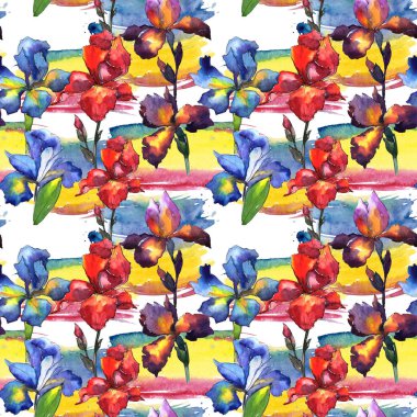 Kır çiçeği Iris çiçek deseni suluboya tarzında.