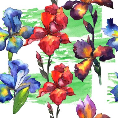 Kır çiçeği Iris çiçek deseni suluboya tarzında.