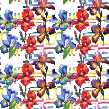 Kır çiçeği Iris çiçek deseni suluboya tarzında.