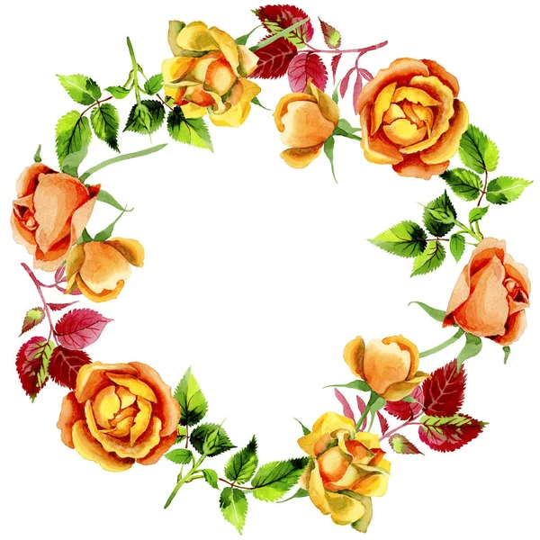 Wildflower rose flower wreath in a watercolor style. — Stock Photo, Image