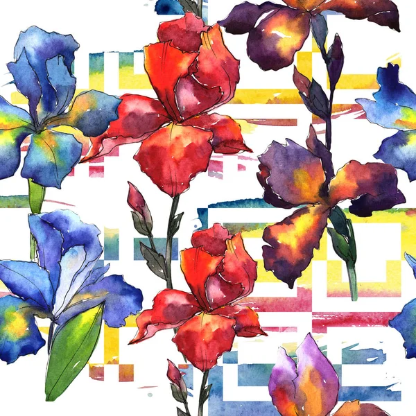 Цветочный узор радужной оболочки в акварельном стиле . — стоковое фото