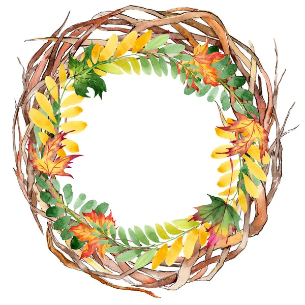 Autumn leaf of acacia wreath in a hand drawn watercolor style. — Stock Photo, Image