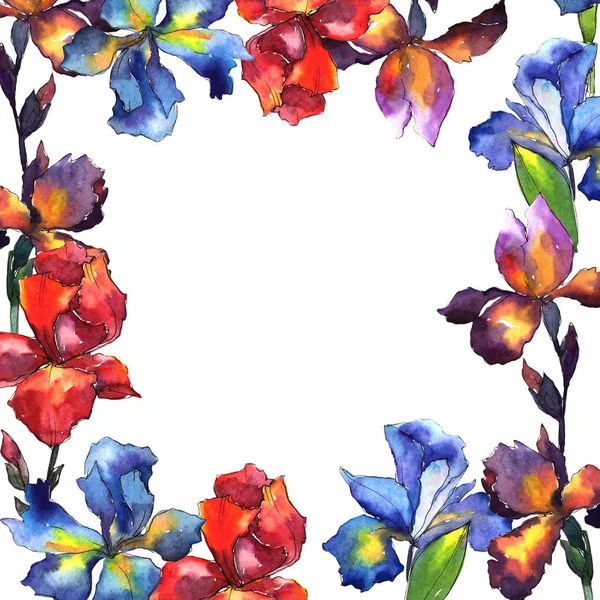 Wildblume Iris Blume Rahmen in einem Aquarell-Stil. — Stockfoto