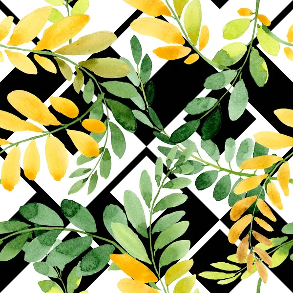 손에서 아카시아 패턴의가 잎 그린 수채화 스타일. — 스톡 사진