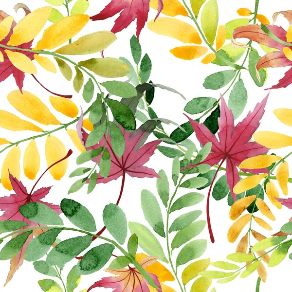 手绘水彩风格的秋叶. — 图库照片