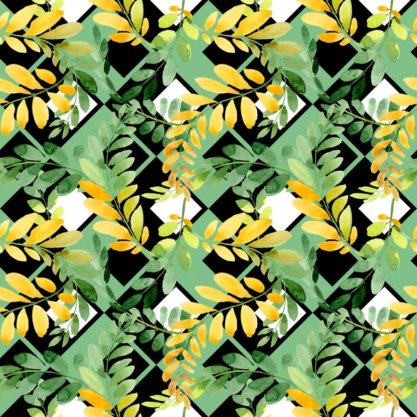손에서 아카시아 패턴의가 잎 그린 수채화 스타일. — 스톡 사진