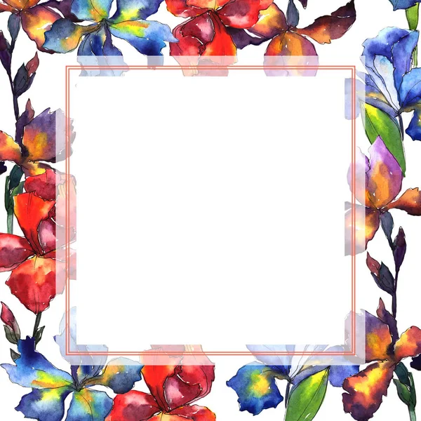 Wildflower iris bloem frame in een aquarel stijl. — Stockfoto