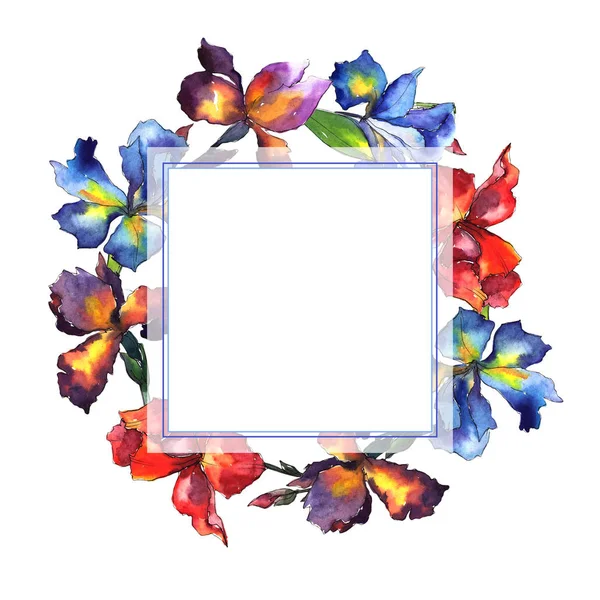 Wildflower iris flower wreath in a watercolor style. — Stock Photo, Image