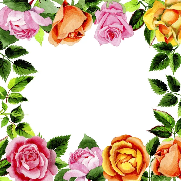 Дика квітка троянди квітковий візерунок в акварельному стилі . — стокове фото