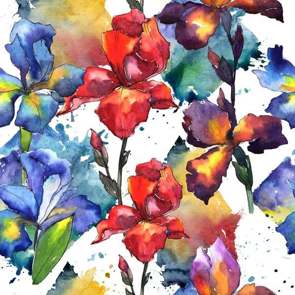 Wildflower ίριδας λουλούδι μοτίβο σε στυλ υδροχρώματος. — Φωτογραφία Αρχείου