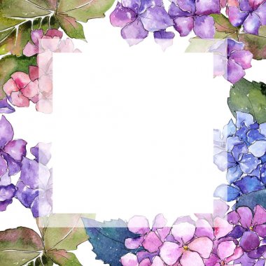 Kır çiçeği ortanca çiçek çerçeve suluboya tarzında.