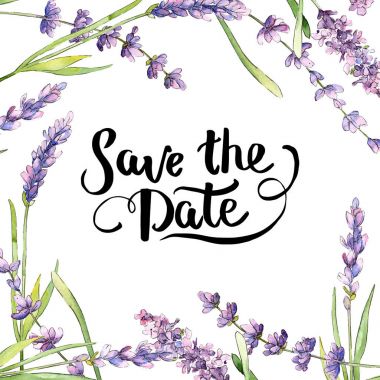Kır çiçeği lavanta çiçek çerçeve suluboya tarzında.