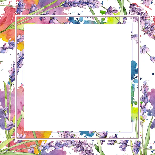 Wildflower lavendel flower ram i akvarell stil. — Stockfoto