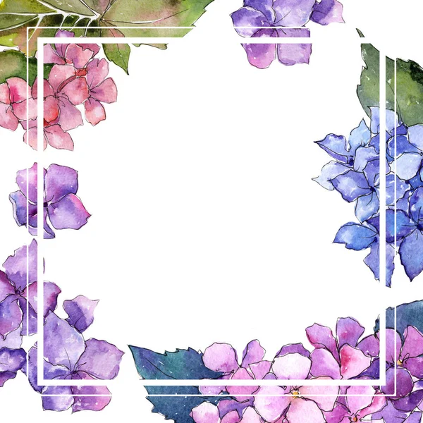 Πλαίσιο λουλουδιών Ορτανσία αγριολούλουδα σε στυλ υδροχρώματος. — Φωτογραφία Αρχείου