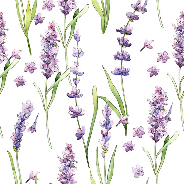 Padrão de flor de lavanda de flores silvestres em um estilo aquarela . — Fotografia de Stock