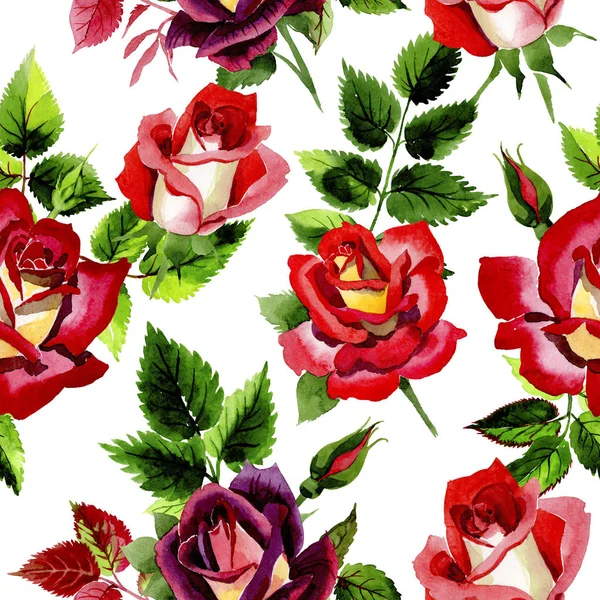Flor silvestre bicolor rojo oscuro rosa patrón de flores en un estilo de acuarela . —  Fotos de Stock
