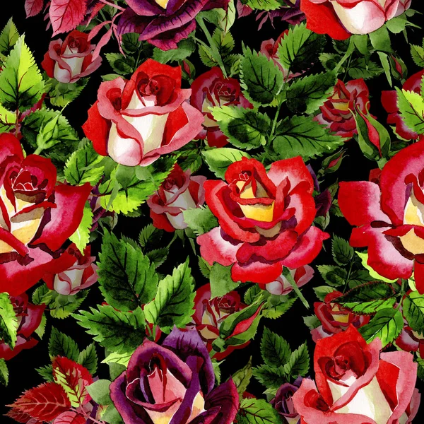 Flor silvestre bicolor rojo oscuro rosa patrón de flores en un estilo de acuarela . —  Fotos de Stock