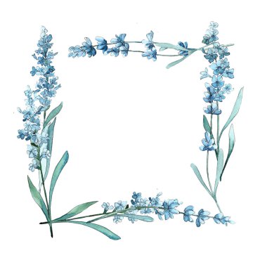 Kır çiçeği lavanta çiçek çerçeve suluboya tarzında.