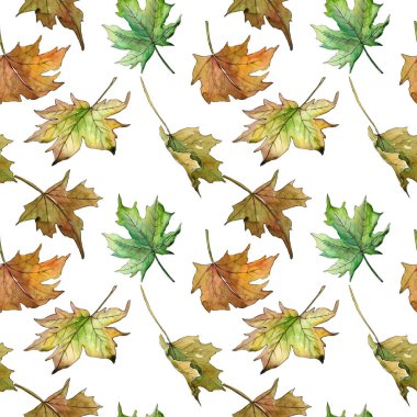 Akçaağaç yaprağı deseni suluboya tarzında.