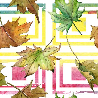 Akçaağaç yaprağı deseni suluboya tarzında.