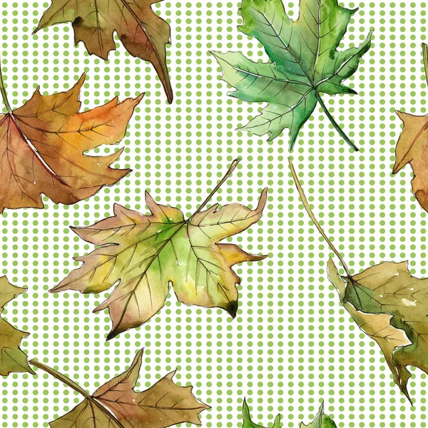 Javorové listy vzor ve stylu akvarelu. — Stock fotografie