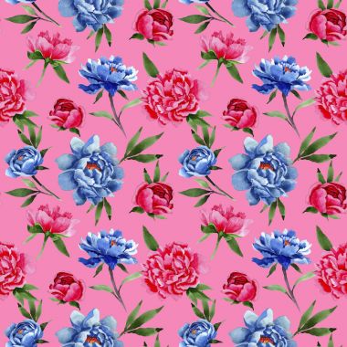 Kır çiçeği kırmızı ve mavi peonies çiçek desen bir suluboya tarzında.
