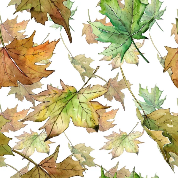 Maple leaves pattern in a watercolor style. — Stock Photo, Image