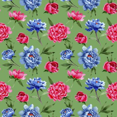 Kır çiçeği kırmızı ve mavi peonies çiçek desen bir suluboya tarzında.