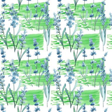 Kır çiçeği lavanta çiçek deseni suluboya tarzında.