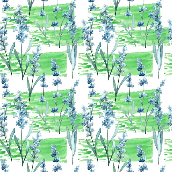 Wildflower lavender flower pattern in a watercolor style. — Stock Photo, Image