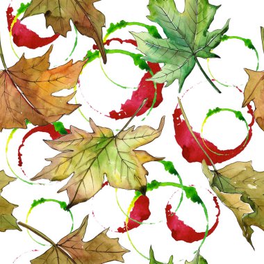 Akçaağaç yaprağı deseni suluboya tarzında.