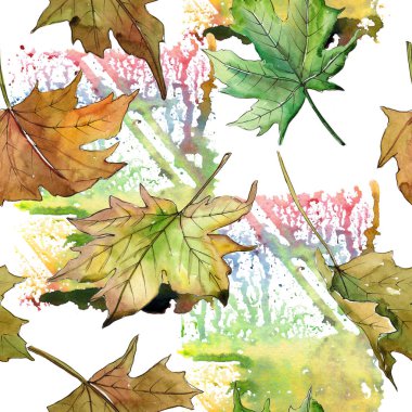 Akçaağaç yaprağı deseni suluboya tarzında.