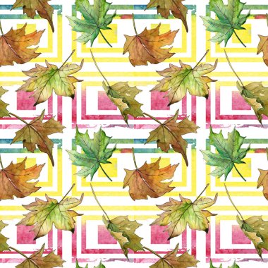 Akçaağaç yaprağı deseni suluboya tarzında.