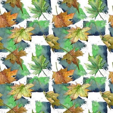 Akçaağaç yaprağı deseni suluboya tarzında.