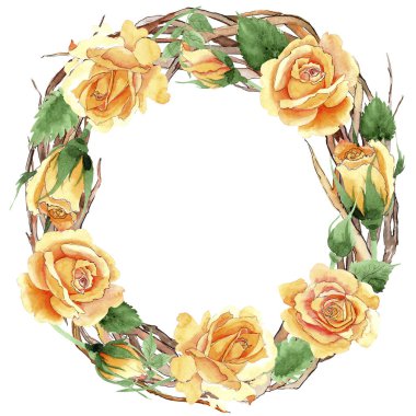 Çelenk suluboya tarzında bir kır çiçeği sarı çay-hibrid gül çiçek. 