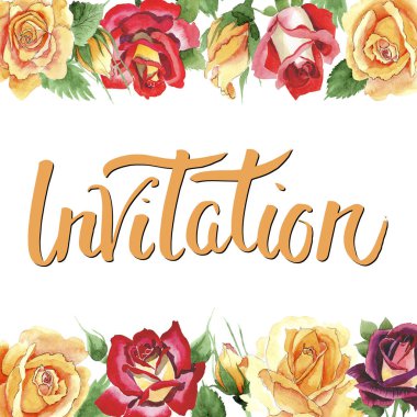 Kır çiçeği sarı çay-hibrid gül suluboya tarzında çerçeve çiçek.