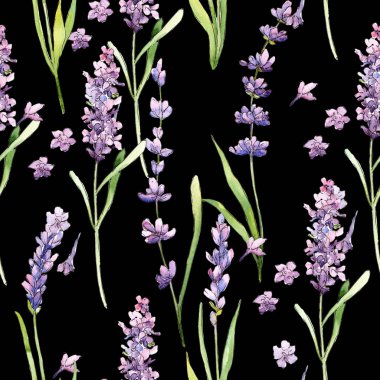 Kır çiçeği lavanta çiçek deseni suluboya tarzında.