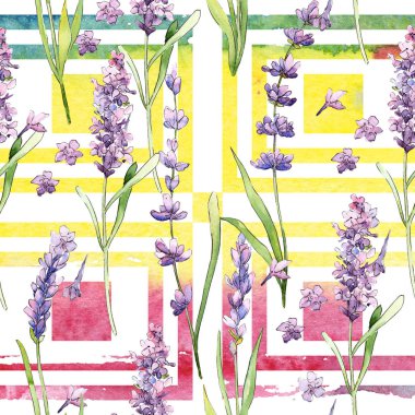 Kır çiçeği lavanta çiçek deseni suluboya tarzında.