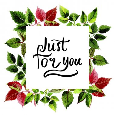 Yaprakları gül çerçevesinin suluboya tarzında.