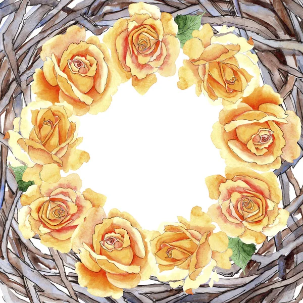 Wildflower gele thee-hybride rozen bloeien frame in een aquarel stijl. — Stockfoto
